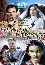 Черный нарцисс Черный нарцисс