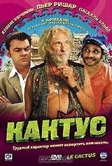 Кактус Кактус
