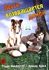 Лесси возвращается домой Лесси возвращается домой