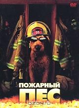 Пожарный пес Пожарный пес