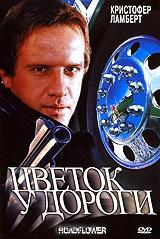Цветок у дороги Цветок у дороги